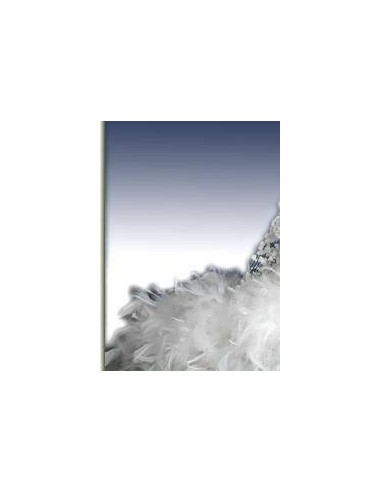 PDF Download Ballerina nr 1502