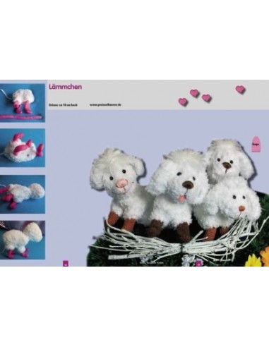 PDF Download Berenpret nr 1603