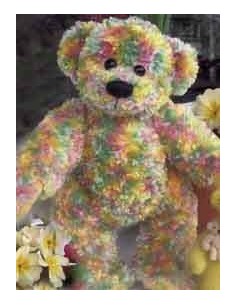 PDF Download Les nounours no 1602 2