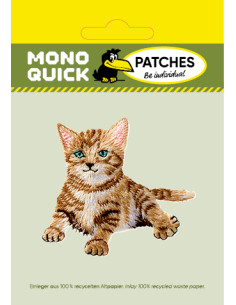 Chat bébé 2