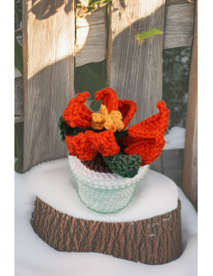 PDF Download Breipatroon "Kerstster"