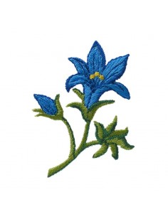 Applicatie, Patch, Strijkapplicatie: Gentiaan